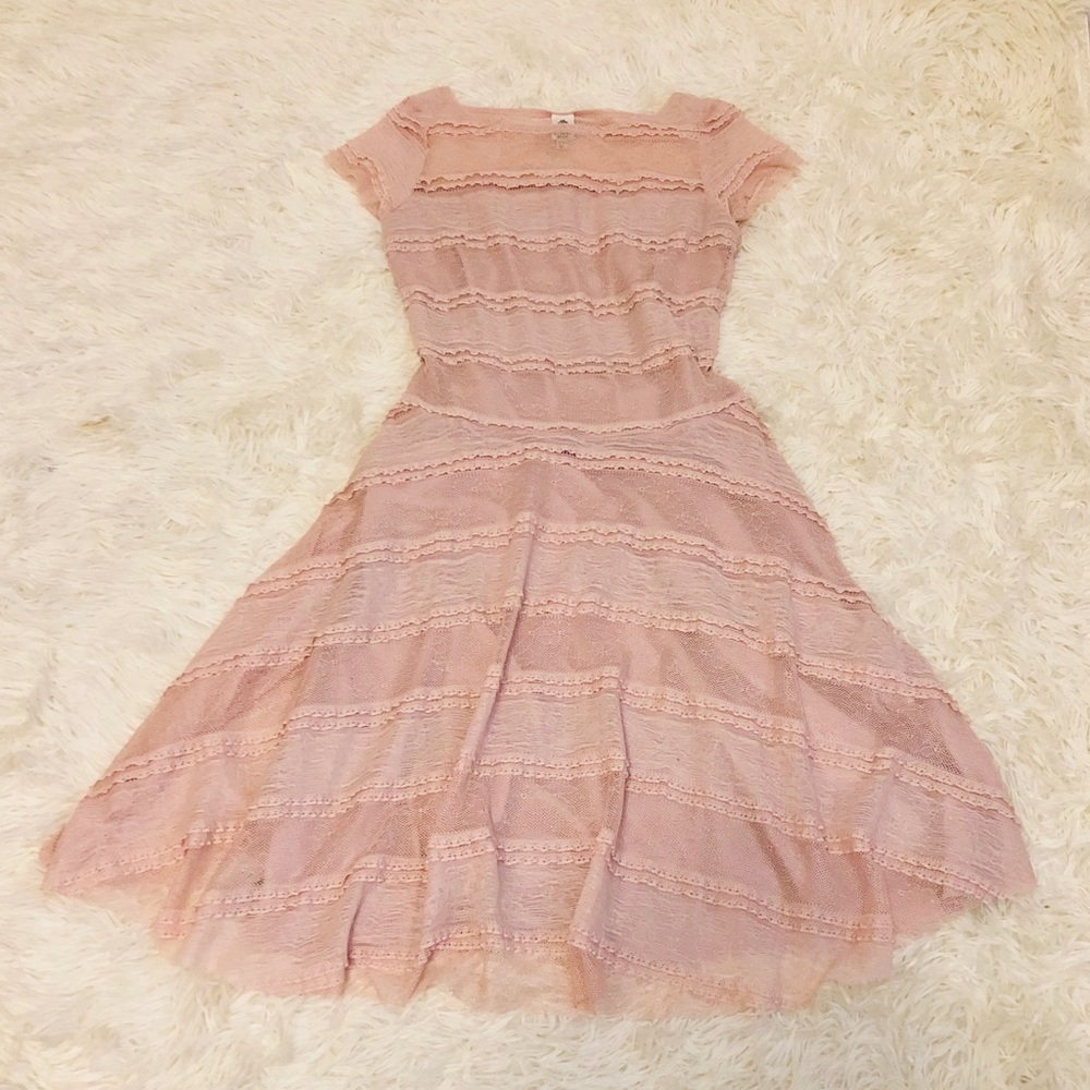 Blush sequined Lace Fit & Flare Cocktail Dress